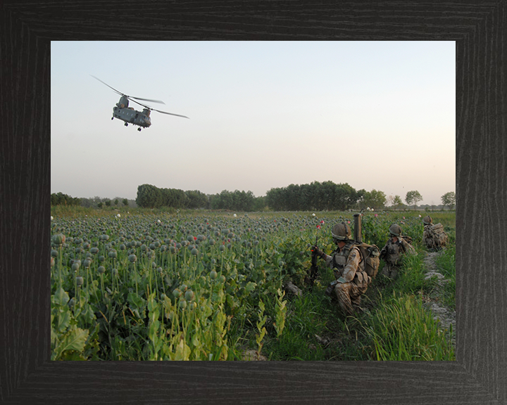 Soldiers in an Afghan poppy field Photo Print – British Army Wall Art, Military Decor Posters, Prints, & Visual Artwork Hampshire Prints 10 x 8 Black Frame No