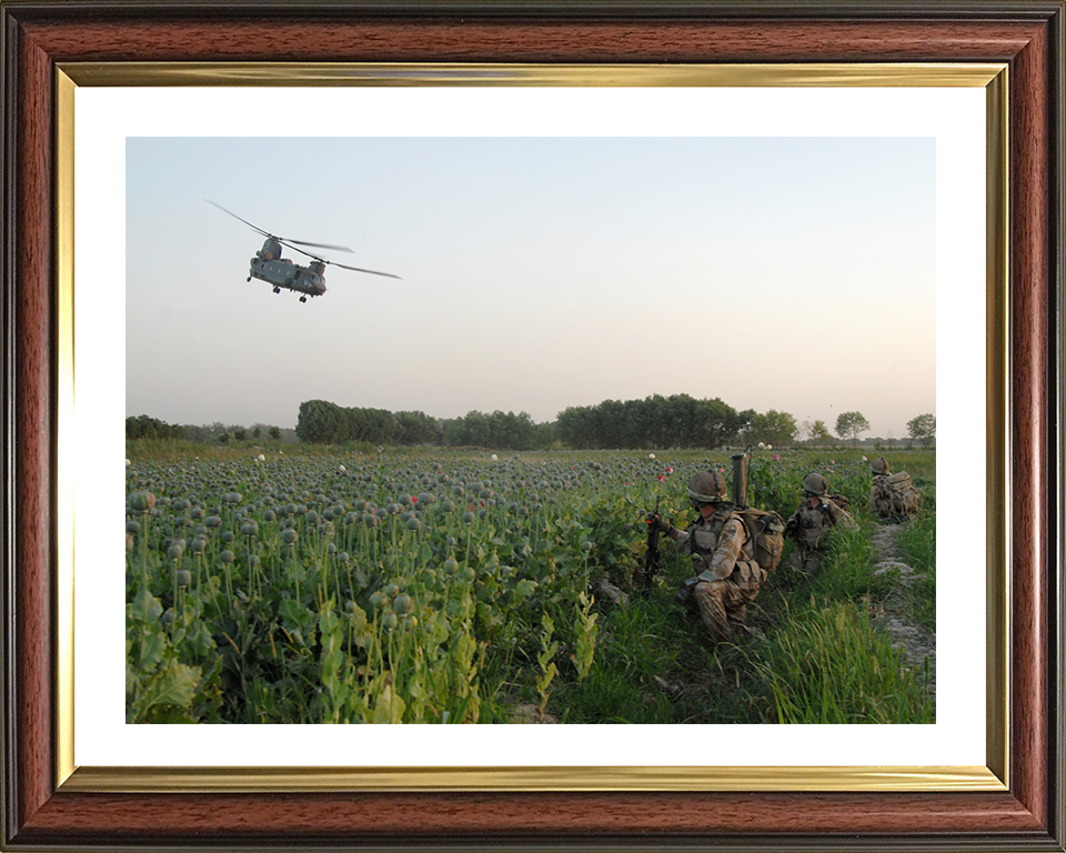 Soldiers in an Afghan poppy field Photo Print – British Army Wall Art, Military Decor Posters, Prints, & Visual Artwork Hampshire Prints 10 x 8 Classic Frame Yes