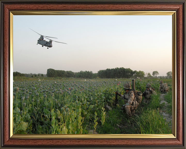 Soldiers in an Afghan poppy field Photo Print – British Army Wall Art, Military Decor Posters, Prints, & Visual Artwork Hampshire Prints 10 x 8 Classic Frame No