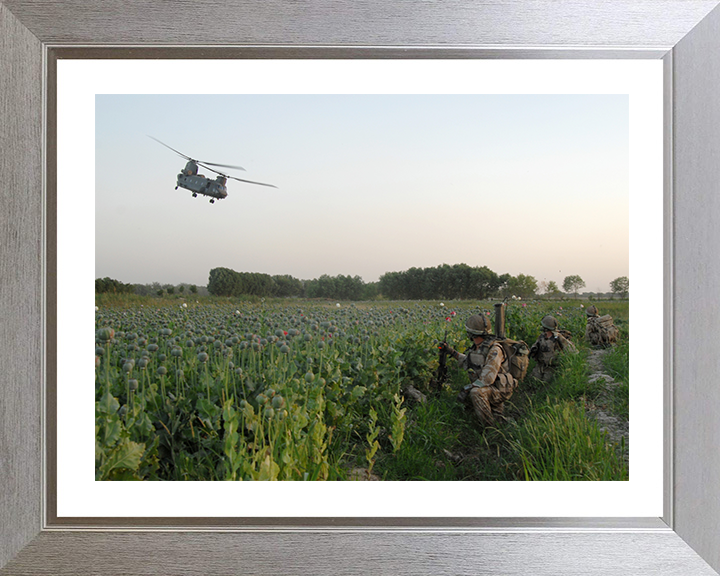 Soldiers in an Afghan poppy field Photo Print – British Army Wall Art, Military Decor Posters, Prints, & Visual Artwork Hampshire Prints 10 x 8 Silver Frame Yes