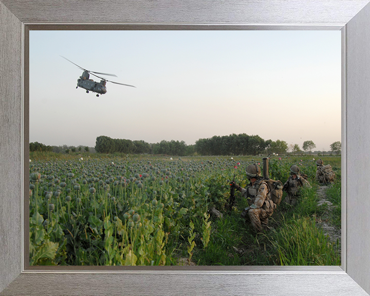 Soldiers in an Afghan poppy field Photo Print – British Army Wall Art, Military Decor Posters, Prints, & Visual Artwork Hampshire Prints 10 x 8 Silver Frame No