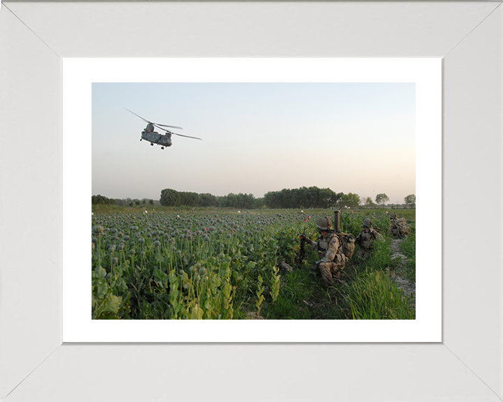 Soldiers in an Afghan poppy field Photo Print – British Army Wall Art, Military Decor Posters, Prints, & Visual Artwork Hampshire Prints 10 x 8 White Frame Yes