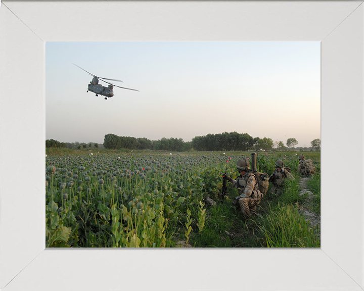 Soldiers in an Afghan poppy field Photo Print – British Army Wall Art, Military Decor Posters, Prints, & Visual Artwork Hampshire Prints 10 x 8 White Frame No