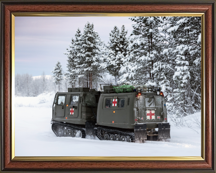 British Army Viking BVS10 Protected Patrol Vehicle Photo Print Wall Art Military Decor Poster Posters, Prints, & Visual Artwork Hampshire Prints 10 x 8 Classic Frame No