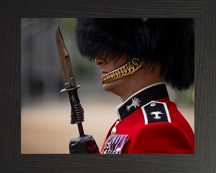 British Army Welsh Guards sergeant on Parade in London Photo Print Wall Art Military Decor Posters, Prints, & Visual Artwork Hampshire Prints 10 x 8 Black Frame No