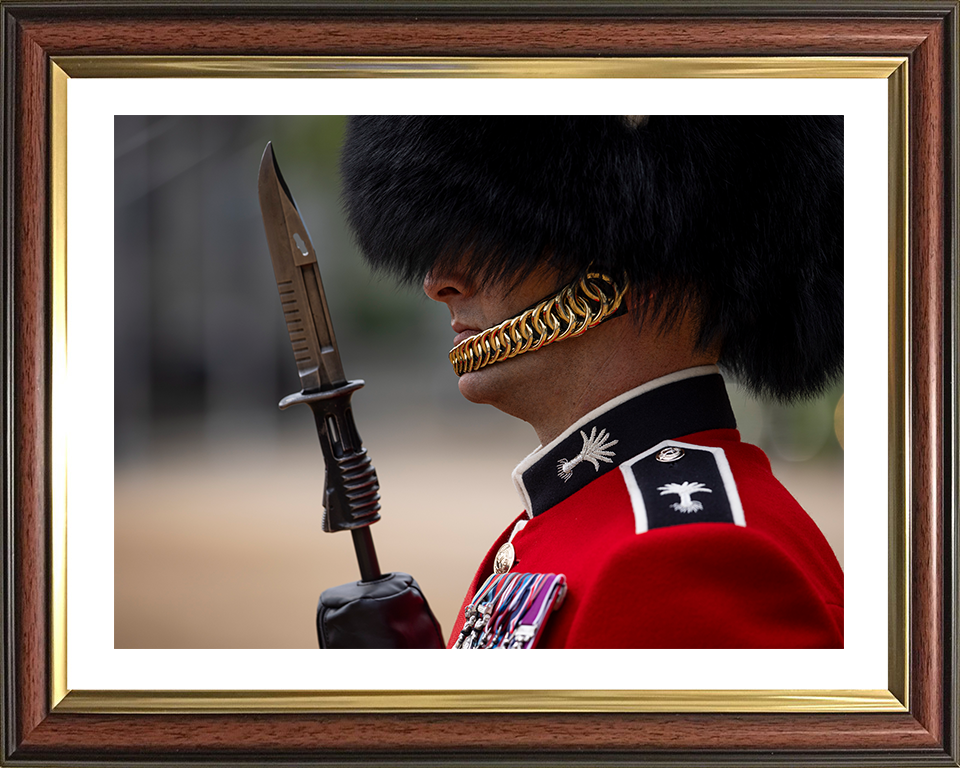 British Army Welsh Guards sergeant on Parade in London Photo Print Wall Art Military Decor Posters, Prints, & Visual Artwork Hampshire Prints 10 x 8 Classic Frame Yes