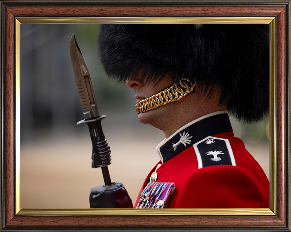 British Army Welsh Guards sergeant on Parade in London Photo Print Wall Art Military Decor Posters, Prints, & Visual Artwork Hampshire Prints 10 x 8 Classic Frame No