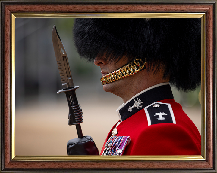 British Army Welsh Guards sergeant on Parade in London Photo Print Wall Art Military Decor Posters, Prints, & Visual Artwork Hampshire Prints 10 x 8 Classic Frame No