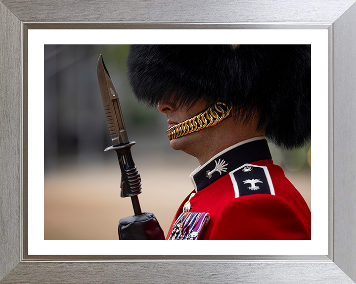 British Army Welsh Guards sergeant on Parade in London Photo Print Wall Art Military Decor Posters, Prints, & Visual Artwork Hampshire Prints 10 x 8 Silver Frame Yes