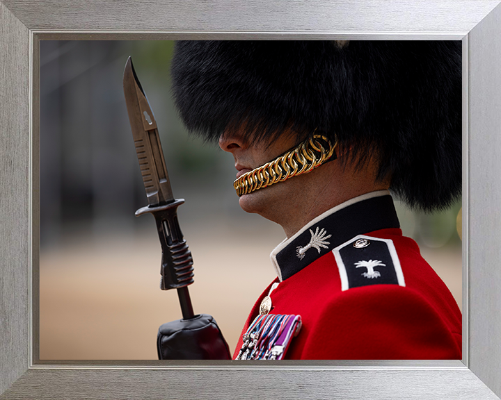 British Army Welsh Guards sergeant on Parade in London Photo Print Wall Art Military Decor Posters, Prints, & Visual Artwork Hampshire Prints 10 x 8 Silver Frame No