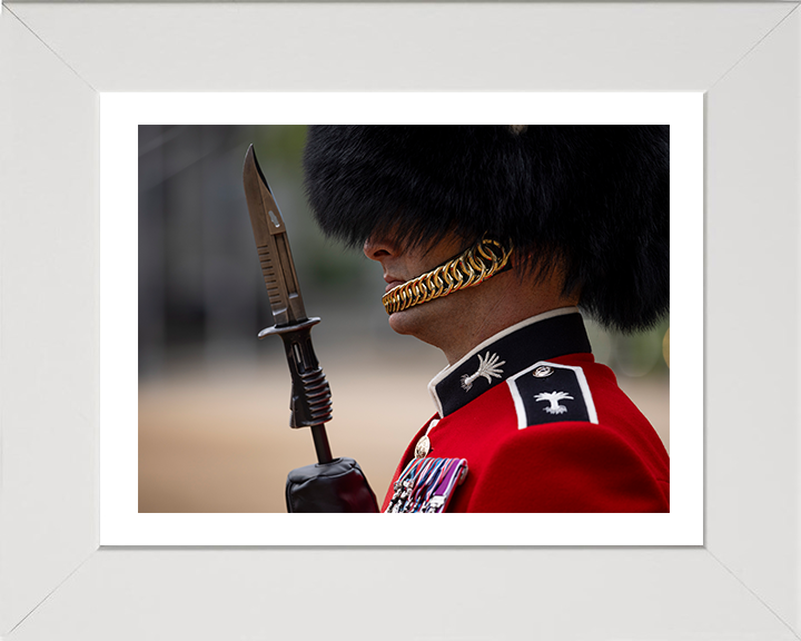 British Army Welsh Guards sergeant on Parade in London Photo Print Wall Art Military Decor Posters, Prints, & Visual Artwork Hampshire Prints 10 x 8 White Frame Yes