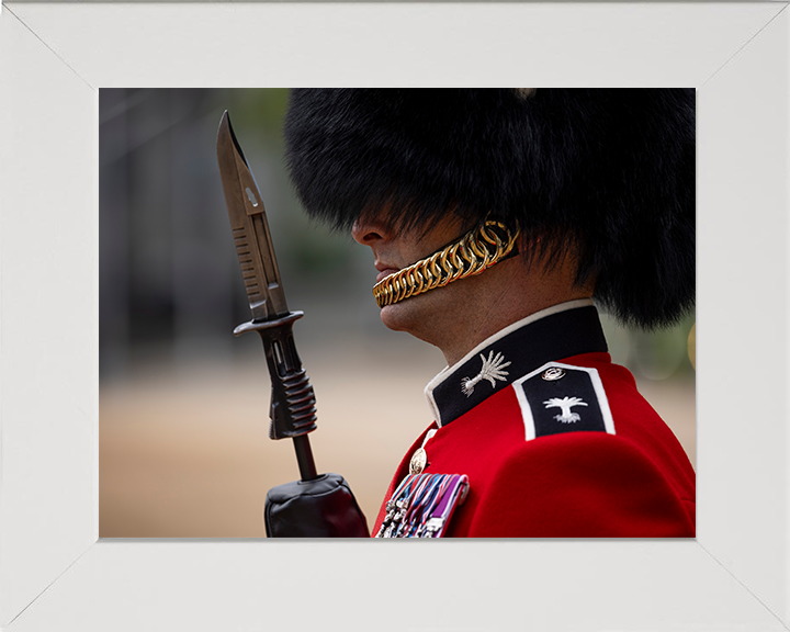British Army Welsh Guards sergeant on Parade in London Photo Print Wall Art Military Decor Posters, Prints, & Visual Artwork Hampshire Prints 10 x 8 White Frame No