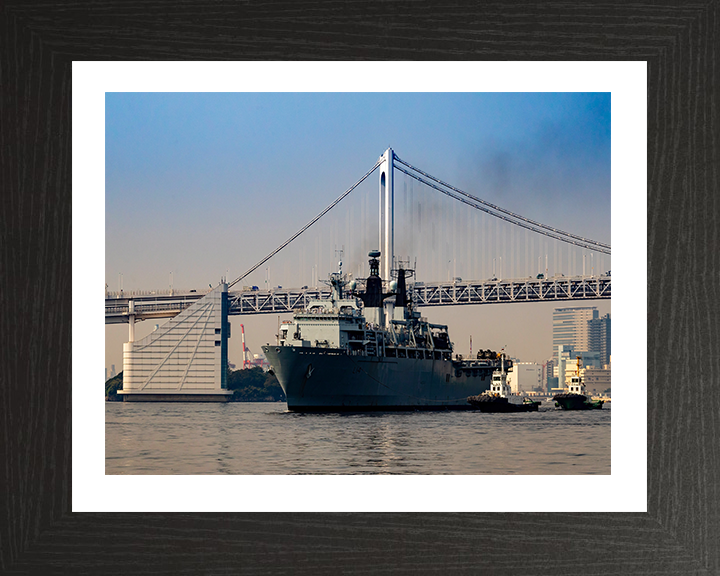 HMS Albion L14 Royal Navy Albion Class amphibious ship Photo Print or Framed Print - Hampshire Prints