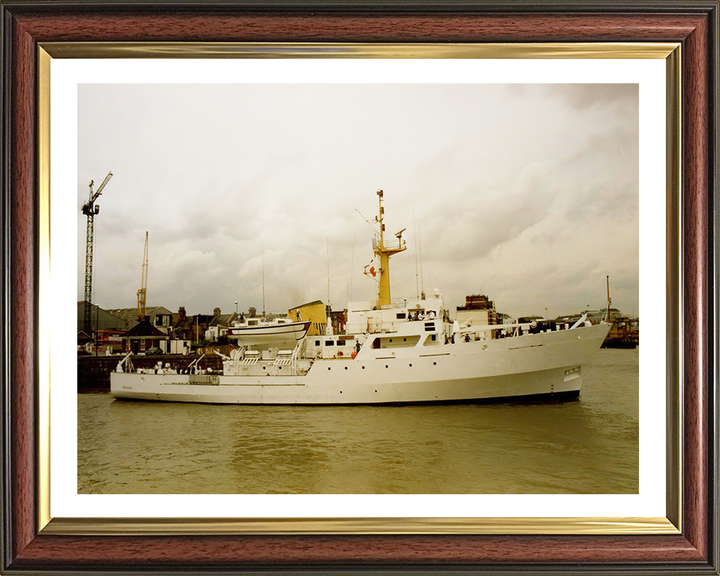 HMS Beagle A319 Royal Navy Bulldog class ship Photo Print or Framed Print - Hampshire Prints