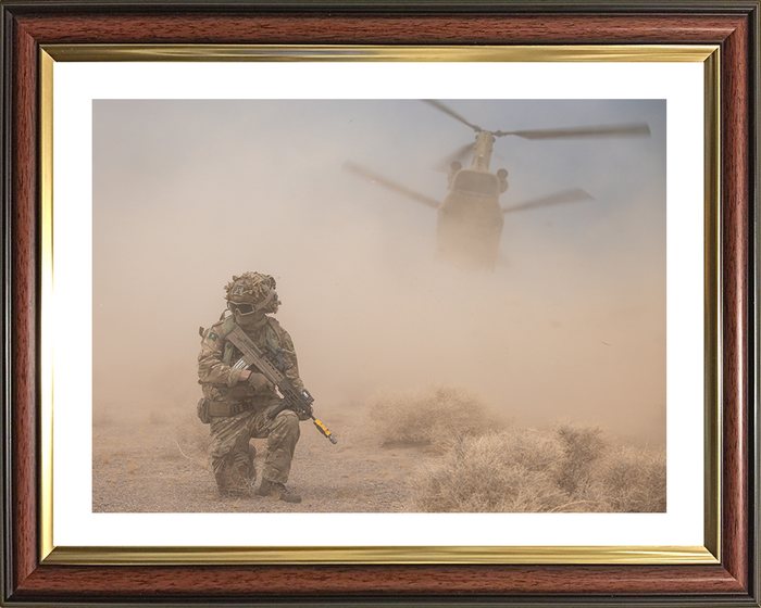 British Army framed print