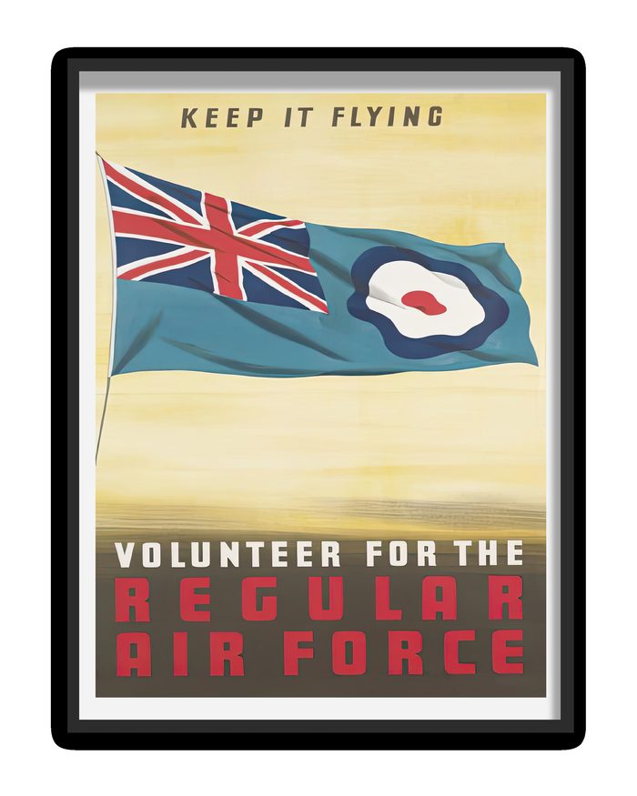 Royal Air Force Recruitment Poster